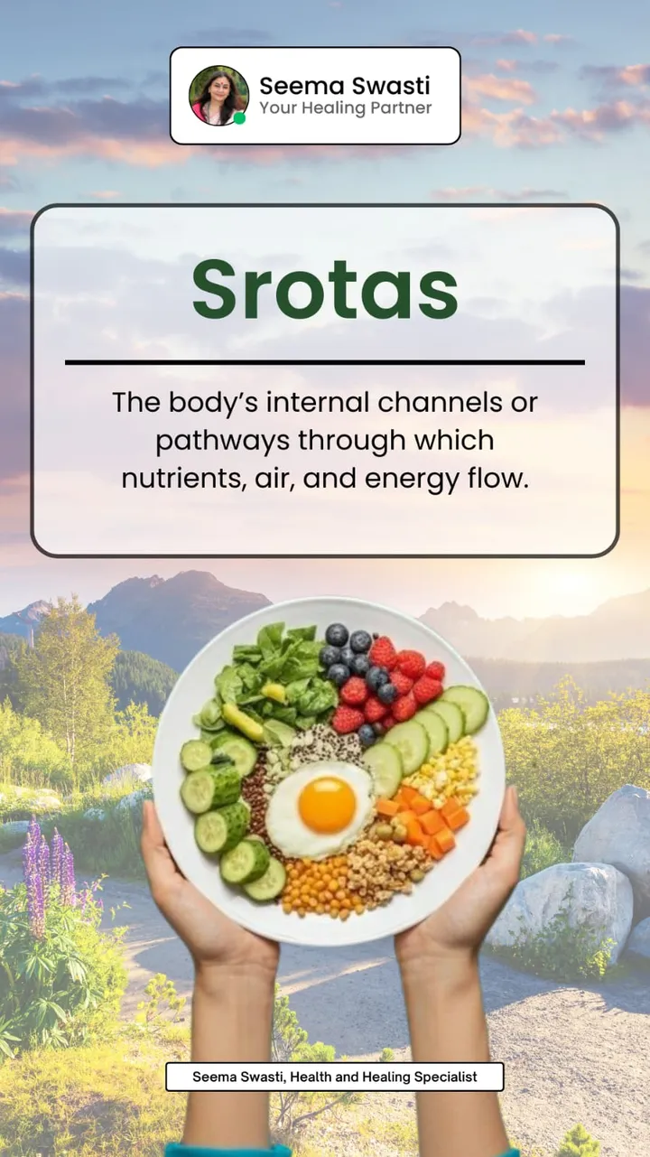 Instagram story explaining "Srotas," an Ayurvedic concept, paired with a practical nutrition visual.